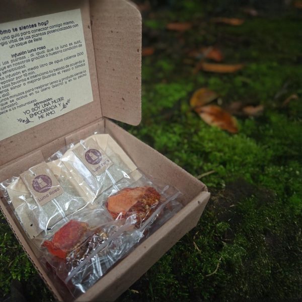 Caja abierta con infusiones orgánicas y mensaje de empoderamiento femenino en fondo natural de musgo