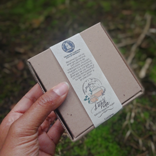 Mano sosteniendo caja cerrada de mini kit Luna Rosa edición especial mujer sobre fondo natural