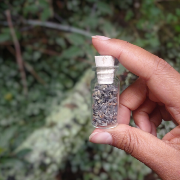 Mini kit herbal de lavanda para relajación natural y aromaterapia