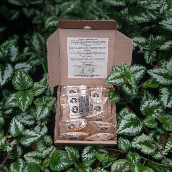 Mini kit surtido de infusiones y lavanda para relajación y equilibrio interior
