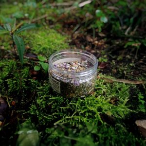 Frasco abierto con mezcla de té verde salvia sauco y naranja sobre musgo