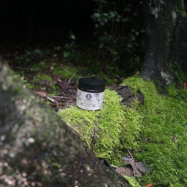 Té verde orgánico en frasco sobre musgo natural en bosque